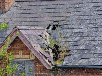 Professional water damage restoration services in Milton - Dry Home Helpers